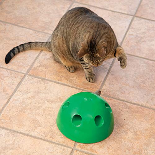 POP N PLAY - Juguete para Gato
