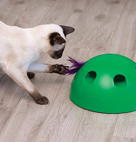 POP N PLAY - Juguete para Gato