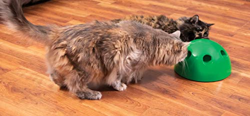 POP N PLAY - Juguete para Gato