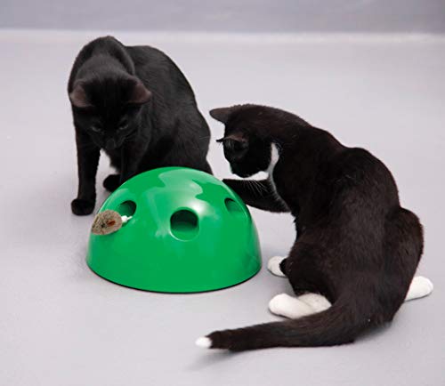 POP N PLAY - Juguete para Gato