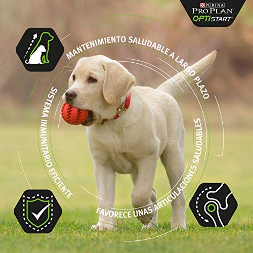 Purina ProPlan Small Puppy Start pienso para perro cahorro con Pollo 4 x 3 Kg