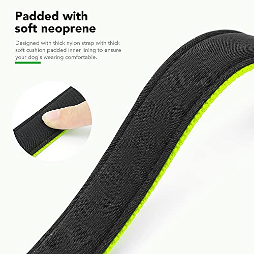 PZRLit Collar Perro Resistente con Suave Acolchado Neopreno, Hebilla de Metal y Anillo en D, Ajustable Transpirable Collares Perros Ancho para la Caminata Diaria Corriendo-Verde,Pequeño