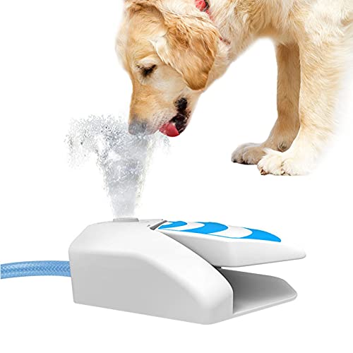 Raspbery Dispensador de Agua, Pequeño, Dispensador de Agua con Contenedor Mascotas Botella para Beber para al Aire Libre Viajar Caminar Durable