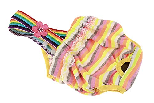 RC GearPro Pack de 2 pañales Lavables Perros, Bragas sanitarias para Mascotas con Liguero para Perras, Color al Azar (L)