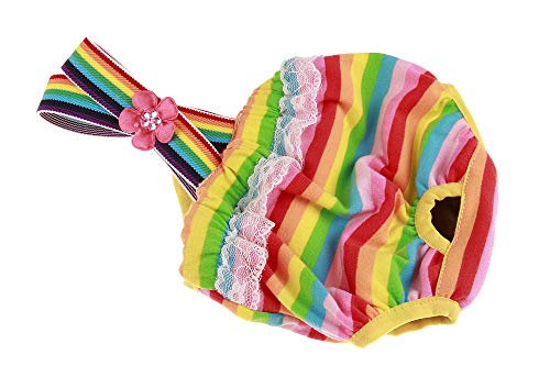 RC GearPro Pack de 2 pañales Lavables Perros, Bragas sanitarias para Mascotas con Liguero para Perras, Color al Azar (L)