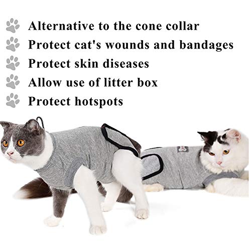 RC GearPro Traje de recuperación Cat para heridas Abdominales o Enfermedades de la Piel, Camisa de Gato de algodón Alternativa y Transpirable después de heridas por cirugía (XS, Gris)