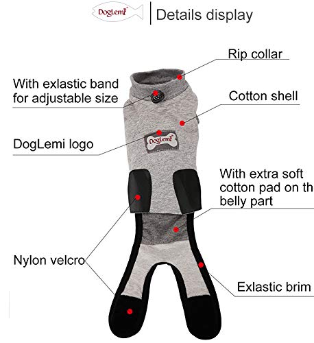 RC GearPro Traje de recuperación Cat para heridas Abdominales o Enfermedades de la Piel, Camisa de Gato de algodón Alternativa y Transpirable después de heridas por cirugía (XS, Gris)