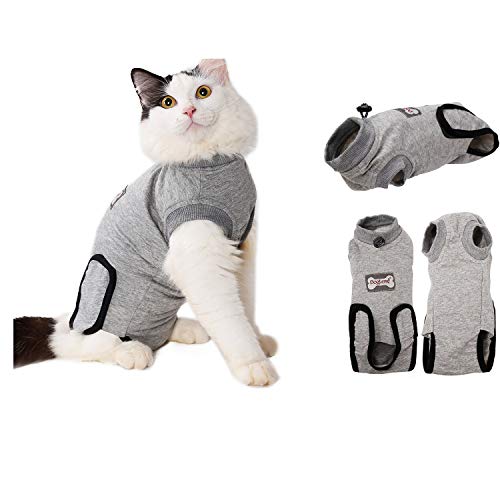 RC GearPro Traje de recuperación Cat para heridas Abdominales o Enfermedades de la Piel, Camisa de Gato de algodón Alternativa y Transpirable después de heridas por cirugía (XS, Gris)