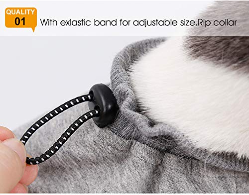 RC GearPro Traje de recuperación Cat para heridas Abdominales o Enfermedades de la Piel, Camisa de Gato de algodón Alternativa y Transpirable después de heridas por cirugía (XS, Gris)