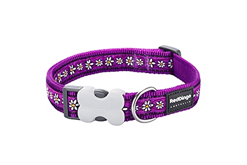 Red Dingo – Collar de Perro, Cadena de Margaritas Morado (15 mm x 24 – 36 cm) S