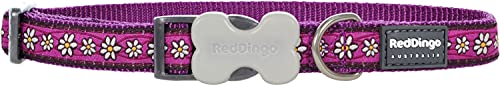 Red Dingo – Collar de Perro, Cadena de Margaritas Morado (15 mm x 24 – 36 cm) S