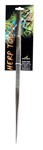 Reptiles Planet Pinzas Limpieza terrarios o nourrisage Reptiles 45 cm