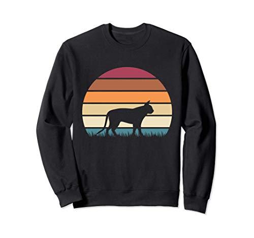 Retro Vintage Sunset Kitten Feline Pet Singapura Cat Sudadera