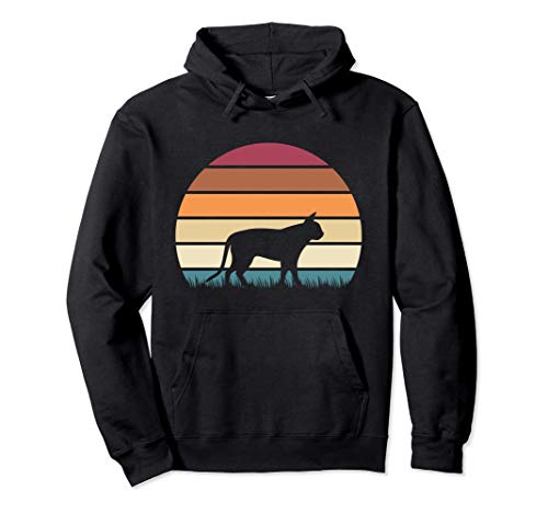 Retro Vintage Sunset Kitten Feline Pet Singapura Cat Sudadera con Capucha