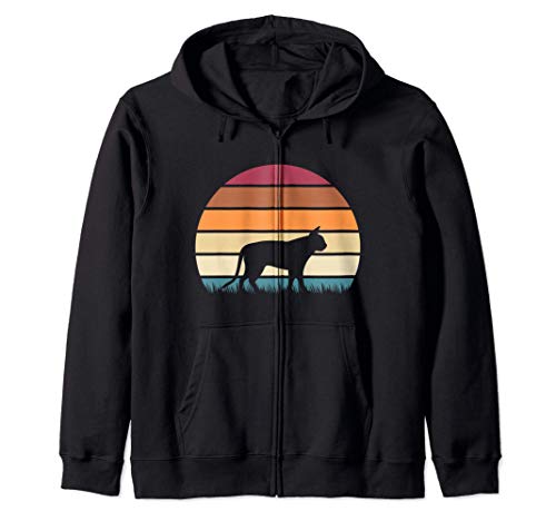 Retro Vintage Sunset Kitten Feline Pet Singapura Cat Sudadera con Capucha