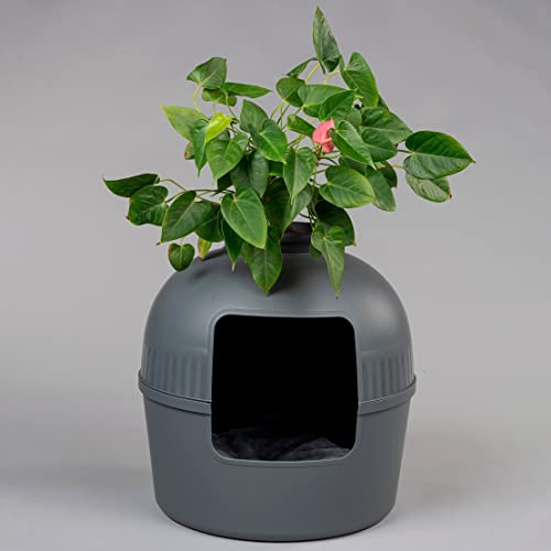 RHRQuality Inodoro para gatos Flower XXL gris invisible con tapa, 51 diámetro x 55 cm