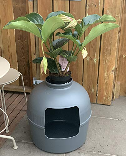 RHRQuality Inodoro para gatos Flower XXL gris invisible con tapa, 51 diámetro x 55 cm