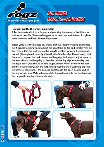 Rogz Disfraz Medio 5/8 "Scooter Ajustable Fashion Diseño de Pata de Perro h-Harness, Rosa