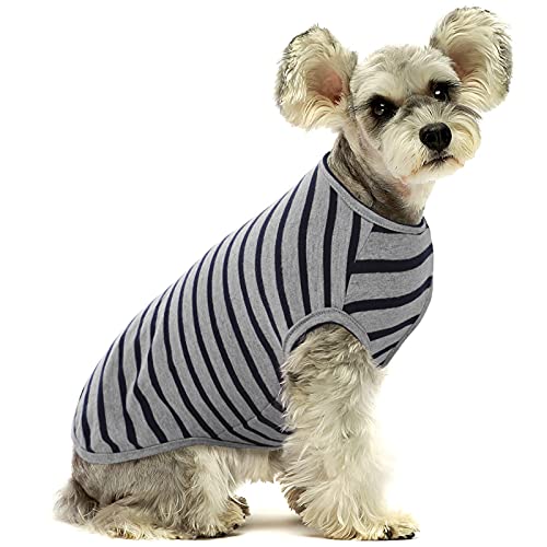 Ropa para Mascotas, Camisetas para Mascotas, Ropa para Perros, Camisetas de Algodón a Rayas para Perro, Camiseta Transpirable y Elástica para Perros Pequeños, Extra Pequeños y Medianos (Negro XXL)