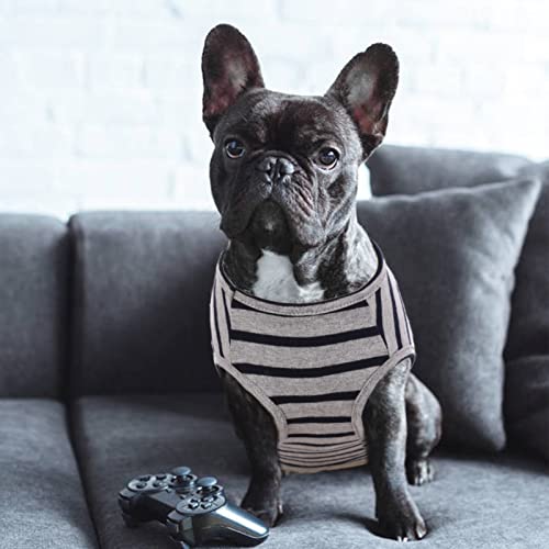 Ropa para Mascotas, Camisetas para Mascotas, Ropa para Perros, Camisetas de Algodón a Rayas para Perro, Camiseta Transpirable y Elástica para Perros Pequeños, Extra Pequeños y Medianos (Negro XXL)