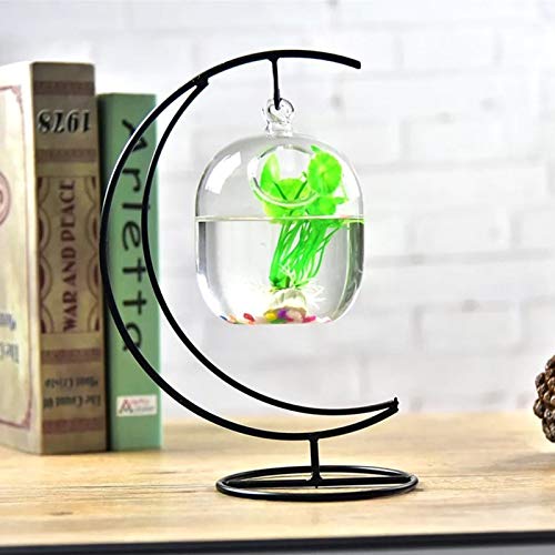S-TROUBLE Suspendido Transparente Colgante de Vidrio pecera Botella de infusión Acuario Flor Planta florero florero para decoración del hogar
