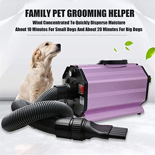 Secador de Pelo para Mascotas de 2200 W, máquina de soplado de Agua, máquina de soplado de Pelo para Perros, Adecuada para Perros y Gatos Grandes y medianos, Velocidad Continua antiescaldami