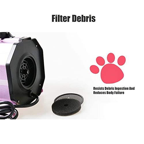 Secador de Pelo para Mascotas de 2200 W, máquina de soplado de Agua, máquina de soplado de Pelo para Perros, Adecuada para Perros y Gatos Grandes y medianos, Velocidad Continua antiescaldami