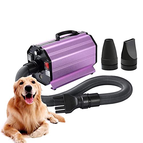 Secador de Pelo para Mascotas de 2200 W, máquina de soplado de Agua, máquina de soplado de Pelo para Perros, Adecuada para Perros y Gatos Grandes y medianos, Velocidad Continua antiescaldami