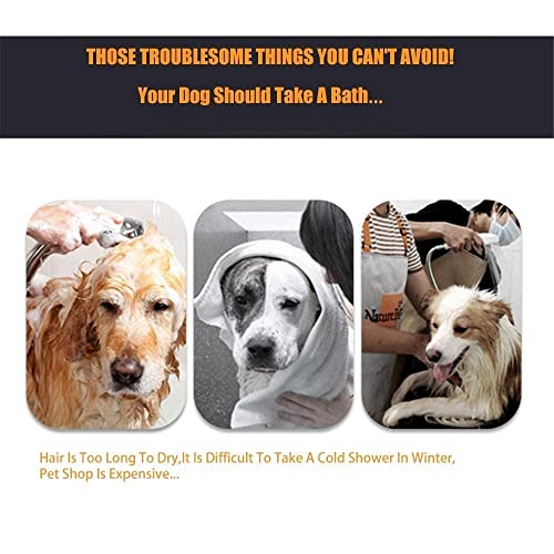 Secador de Pelo para Mascotas Máquina de soplado de Pelo de Perro Máquina de soplado de Agua, Adecuado para Perros y Gatos Grandes y medianos, 2200W Power Mute Antiscalding Velocidad continu