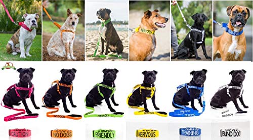 SERVICE DOG - Correa acolchada para perro (120 cm, 180 cm), color rojo