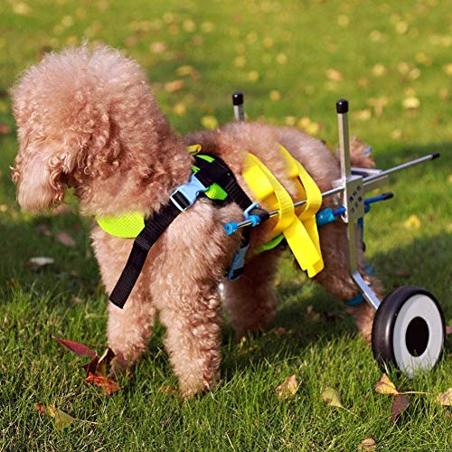Silla de ruedas para perros Patas traseras Marco para caminar con ruedas para perros Peso ligero Aprobado por veterinarios para personas mayores, discapacitadas, lesionadas, artritis, perros/gatos/mas