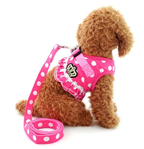 SMALLLEE_LUCKY_STORE Chaleco de malla acolchada con correa ajustable para perros y gatos, color rosa XL