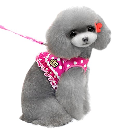 SMALLLEE_LUCKY_STORE Chaleco de malla acolchada con correa ajustable para perros y gatos, color rosa XL