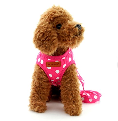 SMALLLEE_LUCKY_STORE Chaleco de malla acolchada con correa ajustable para perros y gatos, color rosa XL