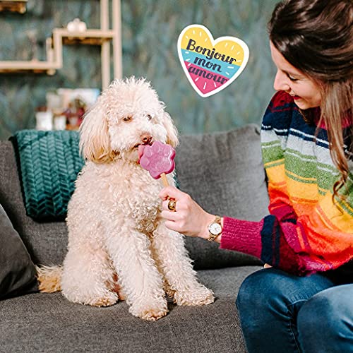 Smoofl Premium Snacks para Perros Sabor Arándano - Helado para Perros como Snack. Refresco en Verano - Golosina Saludable para Perros con Efecto Refrescante
