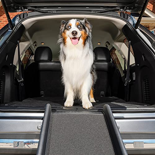 Solvit - Rampa plegable para mascotas PetSafe UltraLite, compacta y ligera