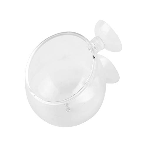 Sora Vaso de Cristal para Plantas acuáticas pequeñas, Maceta para Plantas acuáticas, Maceta para Plantas de Acuario, Taza para Plantas de Acuario, para decoración de acuarios, Accesorios para