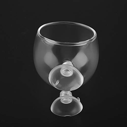 Sora Vaso de Cristal para Plantas acuáticas pequeñas, Maceta para Plantas acuáticas, Maceta para Plantas de Acuario, Taza para Plantas de Acuario, para decoración de acuarios, Accesorios para
