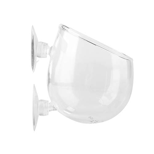 Sora Vaso de Cristal para Plantas acuáticas pequeñas, Maceta para Plantas acuáticas, Maceta para Plantas de Acuario, Taza para Plantas de Acuario, para decoración de acuarios, Accesorios para