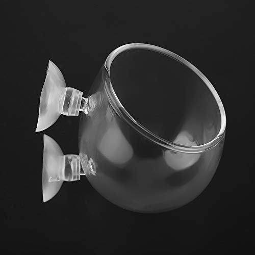 Sora Vaso de Cristal para Plantas acuáticas pequeñas, Maceta para Plantas acuáticas, Maceta para Plantas de Acuario, Taza para Plantas de Acuario, para decoración de acuarios, Accesorios para