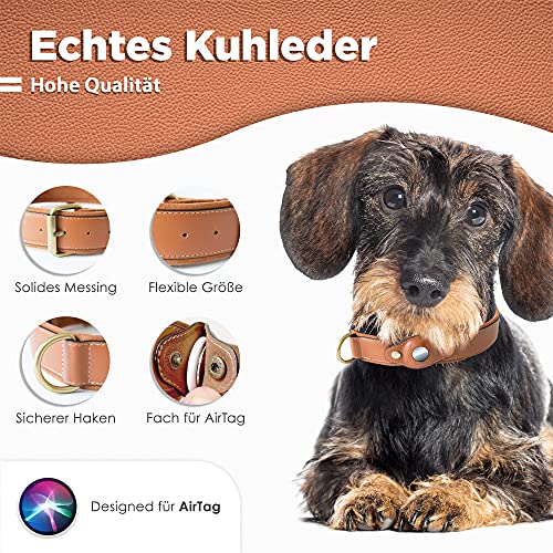 Steinweber Collar de perro con compartimento para AirTag, talla M, circunferencia de 32 a 45 cm, cuero auténtico, acolchado, ajustable, resistente, funda para AirTag – Negro