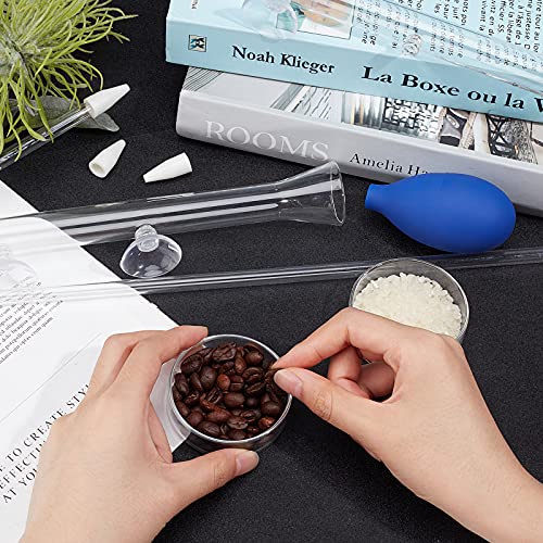 SUPERFINDINGS Juego de Tubo Y Plato de Alimentación de 30 cm de Largo Tubo de Alimentación de Vidrio para Camarones con Alimentador de Coral Pipeta de Acuario para la Alimentación de Peces de Camarón