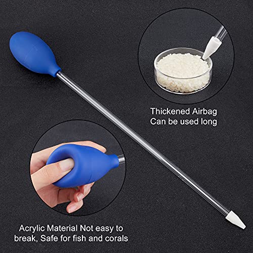 SUPERFINDINGS Juego de Tubo Y Plato de Alimentación de 30 cm de Largo Tubo de Alimentación de Vidrio para Camarones con Alimentador de Coral Pipeta de Acuario para la Alimentación de Peces de Camarón