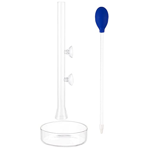 SUPERFINDINGS Juego de Tubo Y Plato de Alimentación de 30 cm de Largo Tubo de Alimentación de Vidrio para Camarones con Alimentador de Coral Pipeta de Acuario para la Alimentación de Peces de Camarón