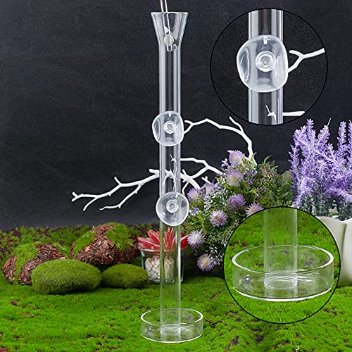SUPERFINDINGS Juego de Tubo Y Plato de Alimentación de 30 cm de Largo Tubo de Alimentación de Vidrio para Camarones con Alimentador de Coral Pipeta de Acuario para la Alimentación de Peces de Camarón