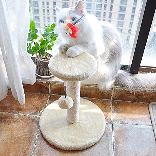 Tabla de rascar para gatos Publicidad de rasguños para gatitos, muebles de torre de escalada en gato Pequeño árbol de gato para gatito Casa Casa Cat Play Tower Centro de actividades Postes rascadores