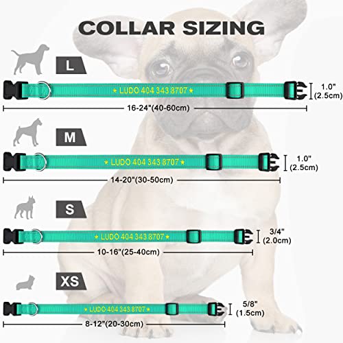 TagME Personalizado Mediano Collar Perro, Bordado Nombre y Número De Teléfono Reflectante Collar Perros,Turquesa M