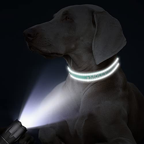 TagME Personalizado Mediano Collar Perro, Bordado Nombre y Número De Teléfono Reflectante Collar Perros,Turquesa M