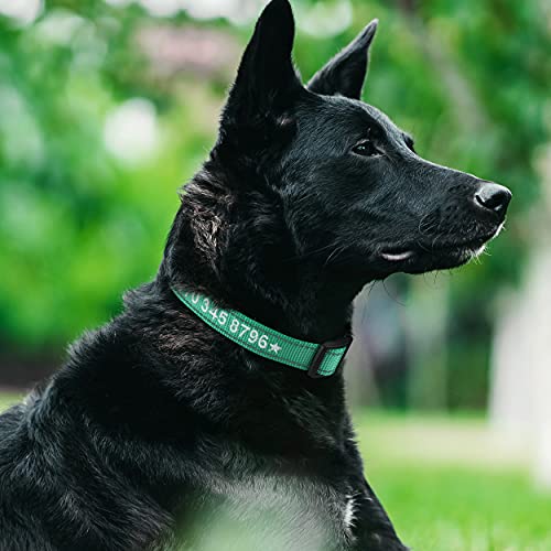 TagME Personalizado Mediano Collar Perro, Bordado Nombre y Número De Teléfono Reflectante Collar Perros,Turquesa M