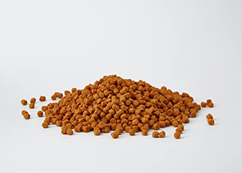 Tetra Goldfish Sticks 250 ml